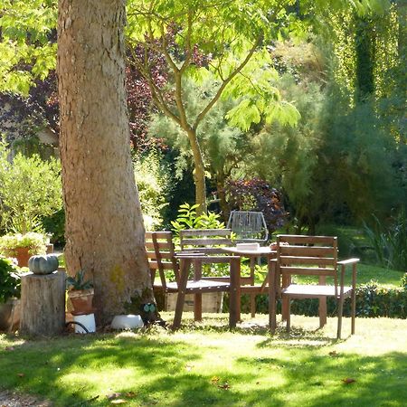 Domaine De Joreau Gennes-Val-de-Loire Ngoại thất bức ảnh