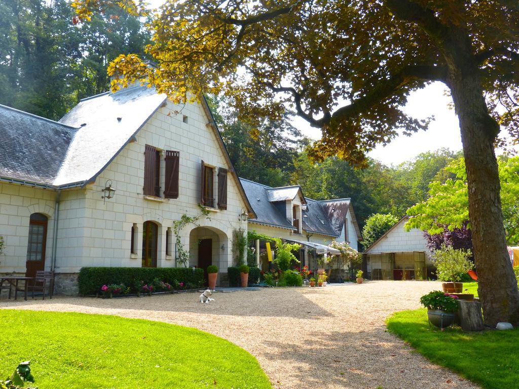 Domaine De Joreau Gennes-Val-de-Loire Ngoại thất bức ảnh