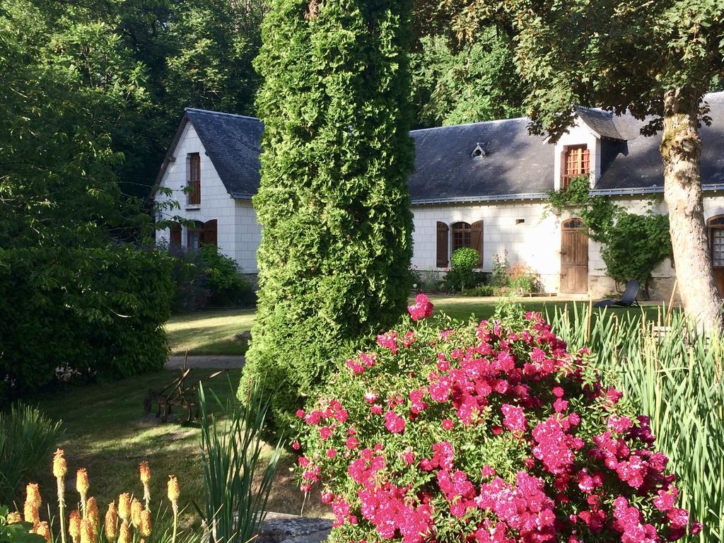 Domaine De Joreau Gennes-Val-de-Loire Ngoại thất bức ảnh
