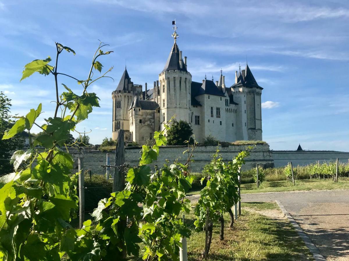 Domaine De Joreau Gennes-Val-de-Loire Ngoại thất bức ảnh